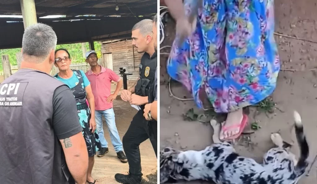 mulher presa por matar cachorroa machadadas