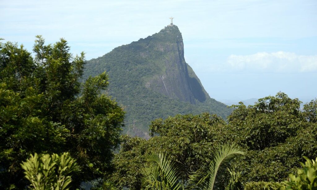 várias áreas de floresta, inclusive dentro de unidades de conservação. E a jaque