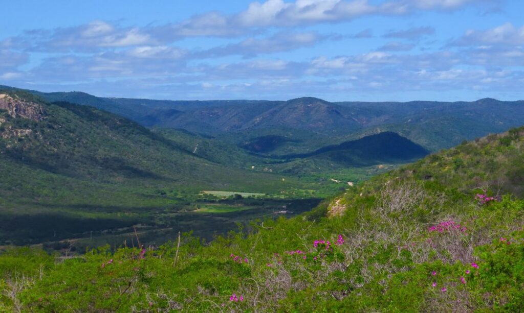 tantes biomas que o Brasil tem, que o Nordeste tem, que o Rio Grande do Norte te