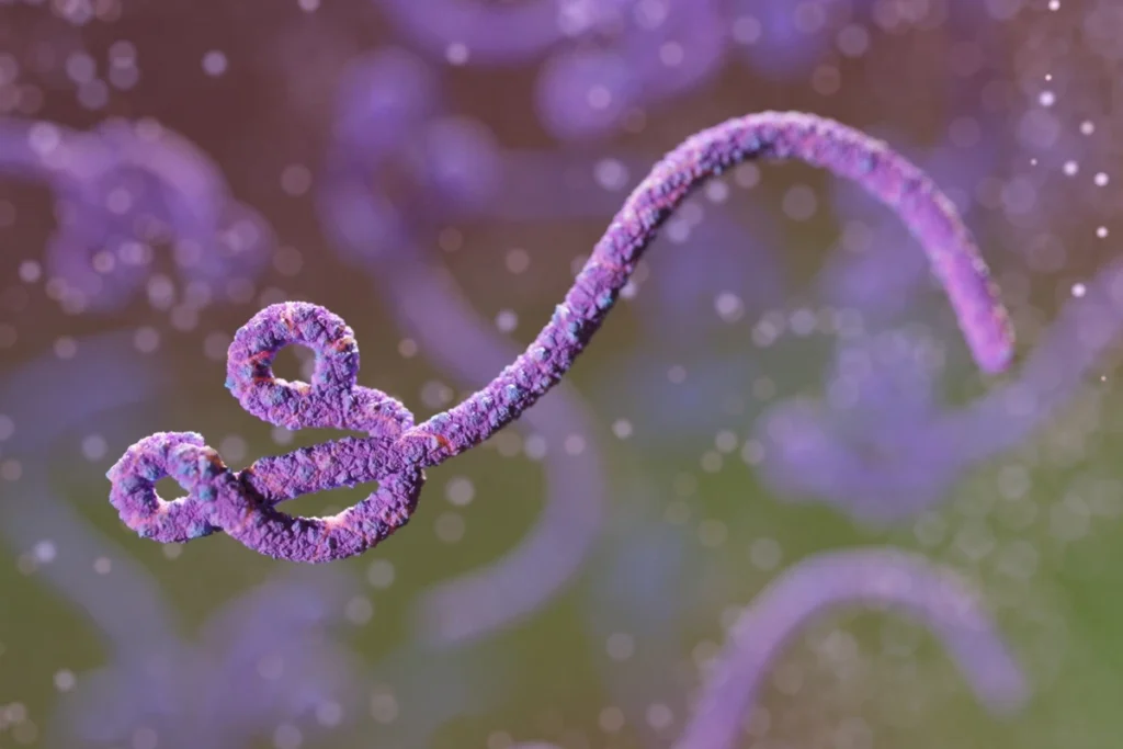 Vírus Ebola, ilustração digital. Metrópoles