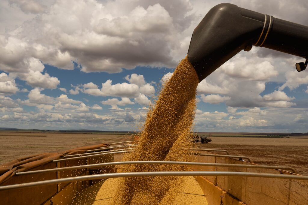 A soja em grão continuou como um dos principais exportadores do país. O produto somou US$ 6,3 bilhões (+14,6%) com o embarque de 14,8 milhões de toneladas