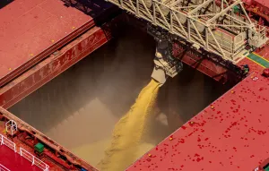 Crescimento do PIB da soja e biodiesel deve ser de 6,87% em 2026, revela estudo