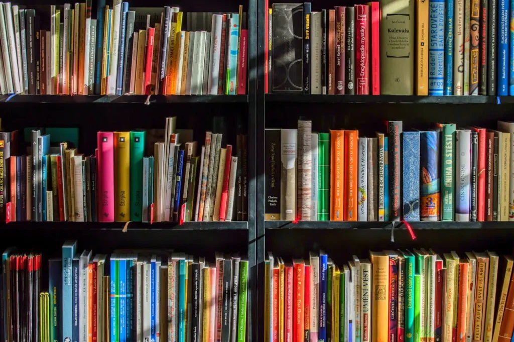 Destruição em massa de livros para alimentar Ias levanta questões éticas
