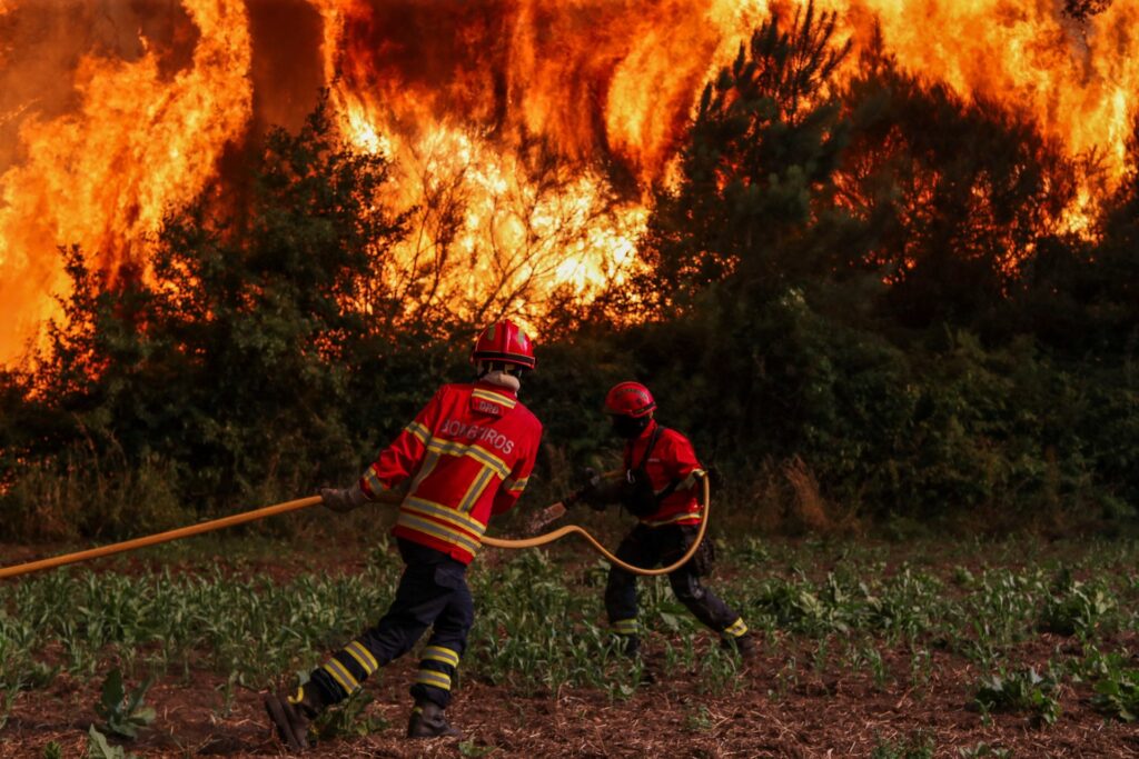 tugal, July 4, 2026. REUTERS/Pedro Rocha " data-large-file="https://www.infomone