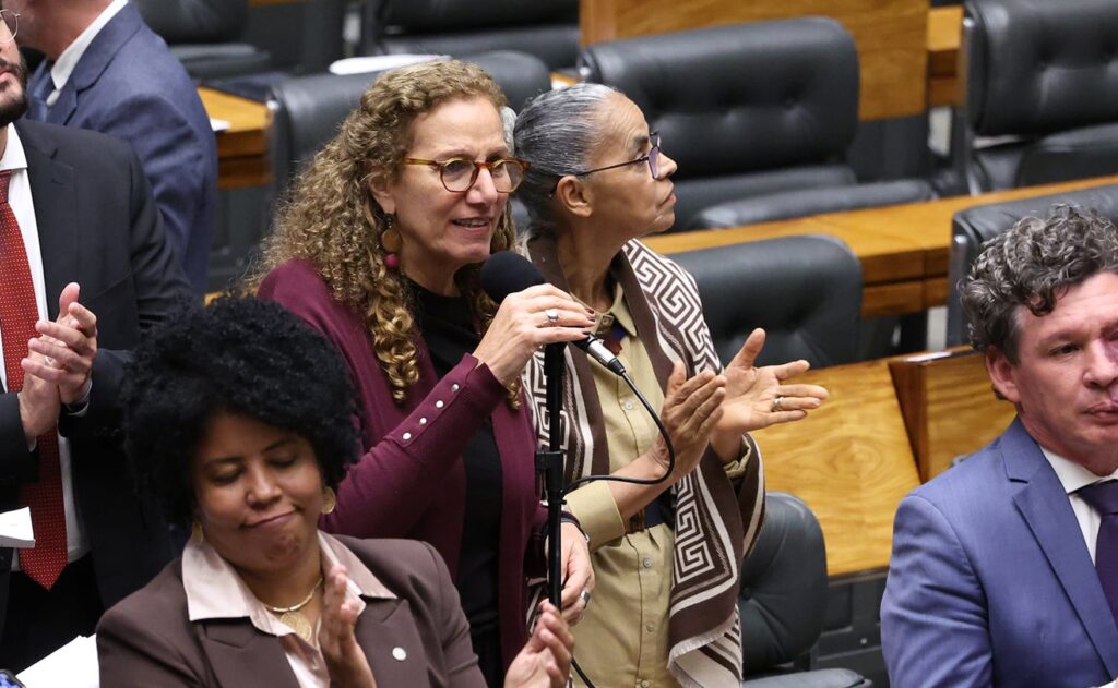 Na imagem, a relatora do projeto, Jandira Feghali (centro) e a autora da proposta, Jack Rocha (à esq)durante sessão plenária