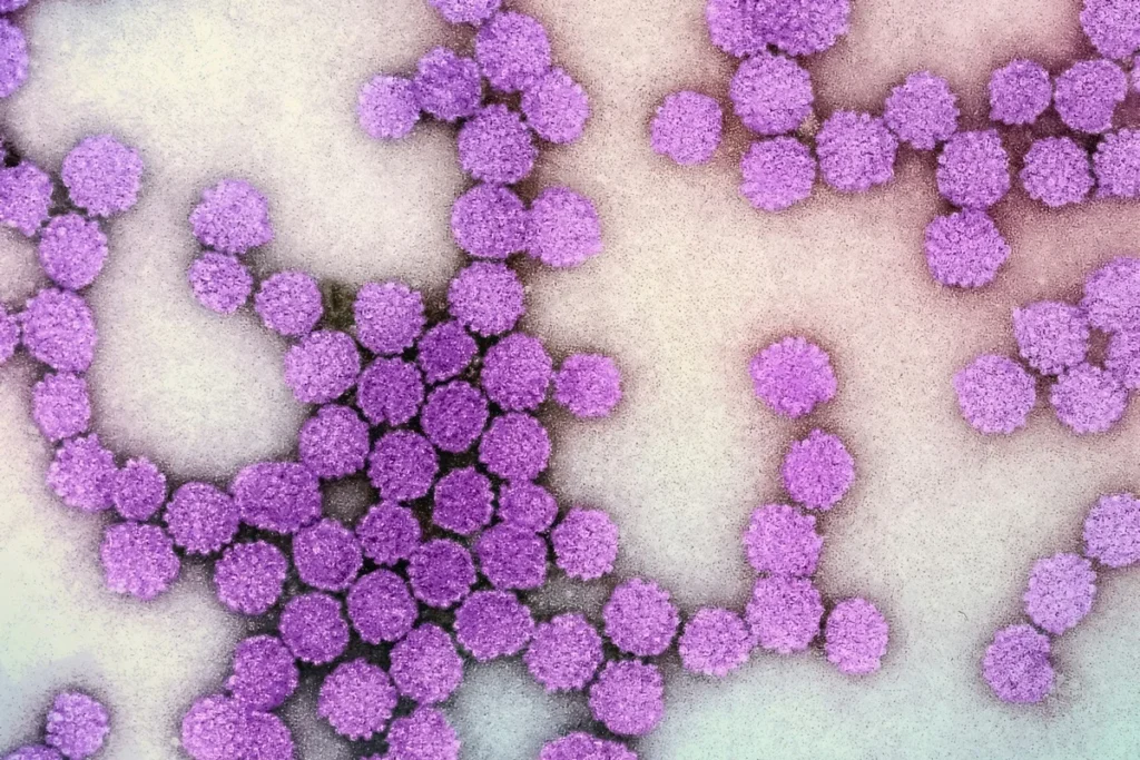 Teste rápido para hepatites B e C: resultados em até 30 minutos