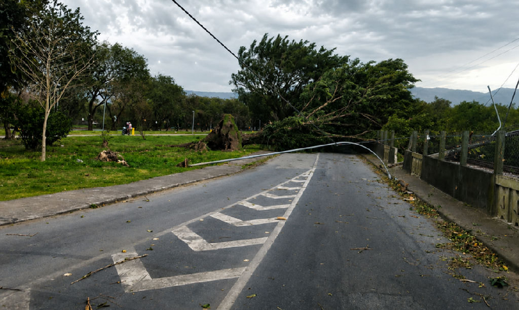 Três mortes em São Paulo devido a ventos fortes e alertas de tempestade