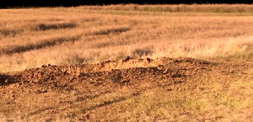 Ucrânia denuncia violação do espaço aéreo polonês por míssil russo