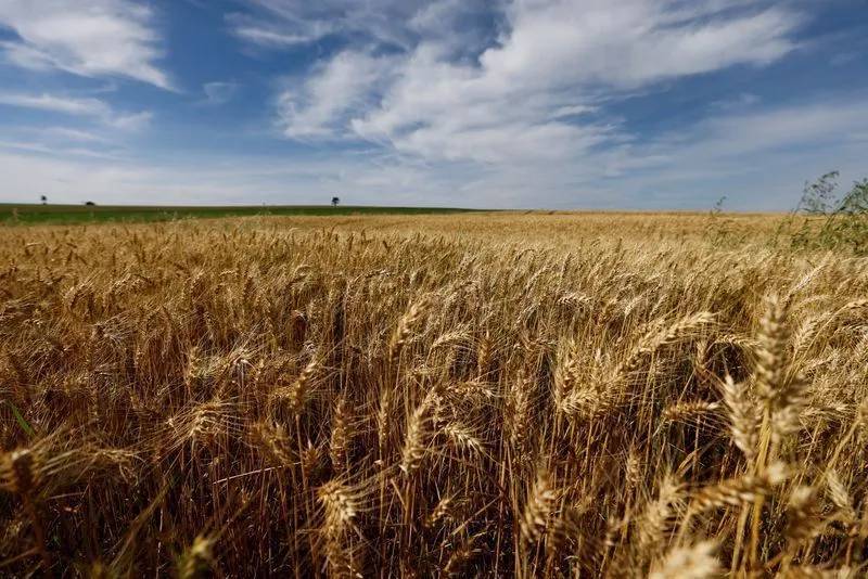 Canetas emagrecedoras impactam mercado alimentício, revela pesquisa