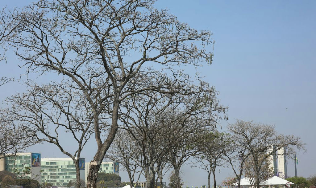 Cerrado e Distrito Federal enfrentam estiagem severa com aumento de incêndios
