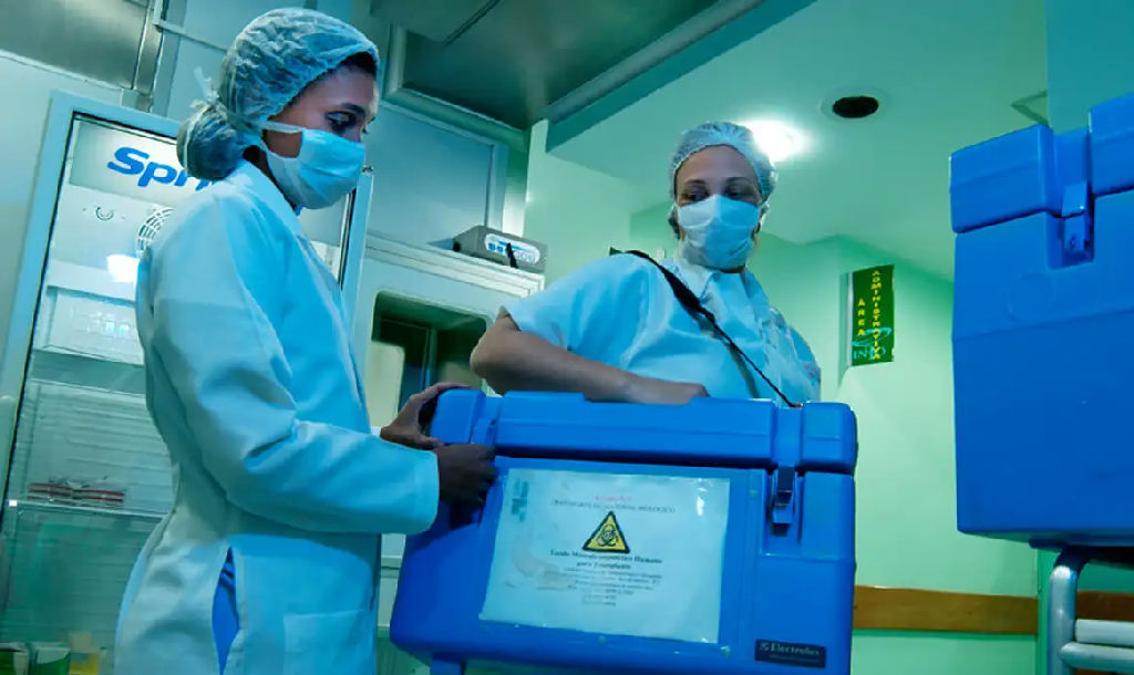 Idosos doadores vivos durante avaliação para doação de órgãos