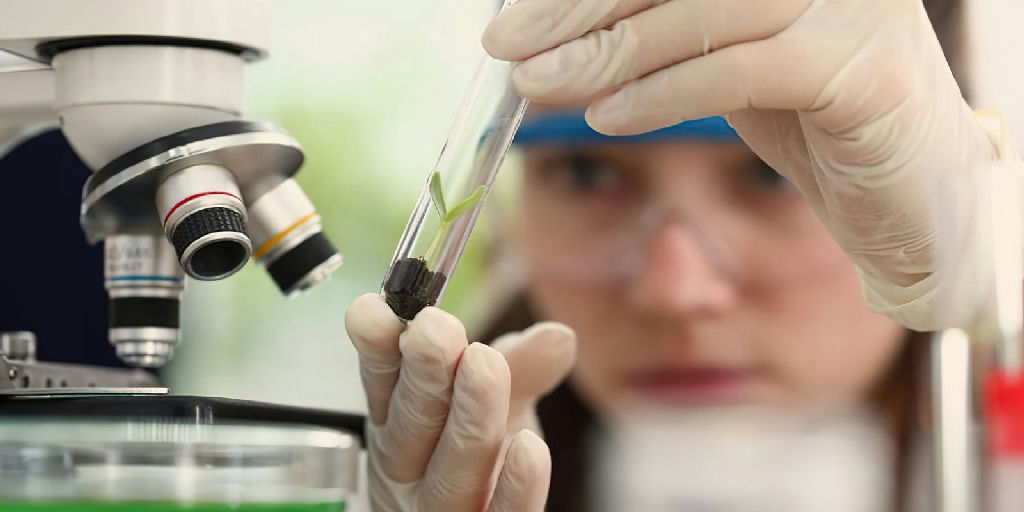 Programa Futuras Cientistas oferece imersão em tecnologia para alunas e professoras
