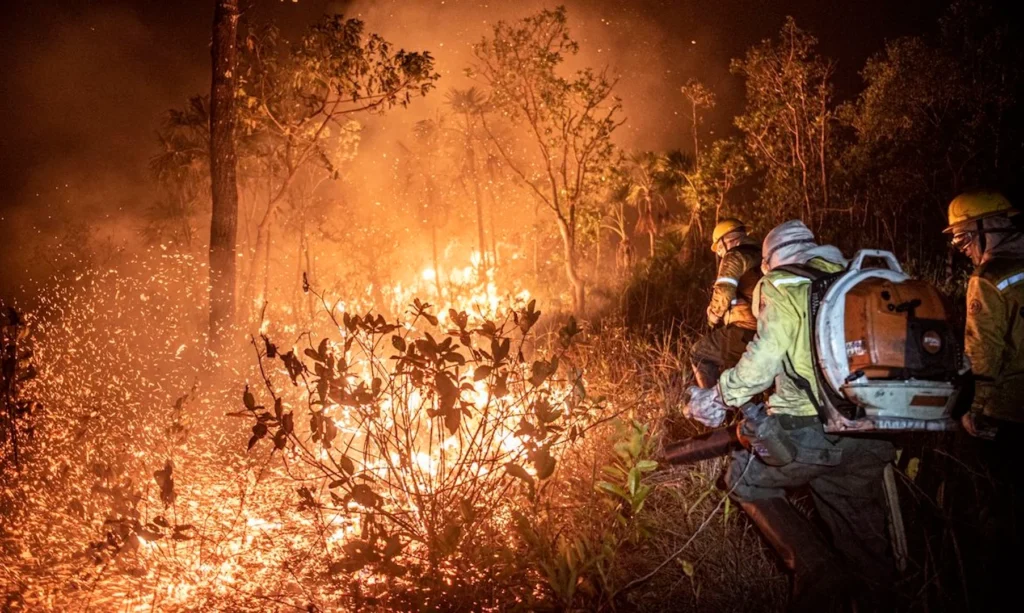 Ação humana intencional é a causa dos incêndios no Amazonas, afirma ministro