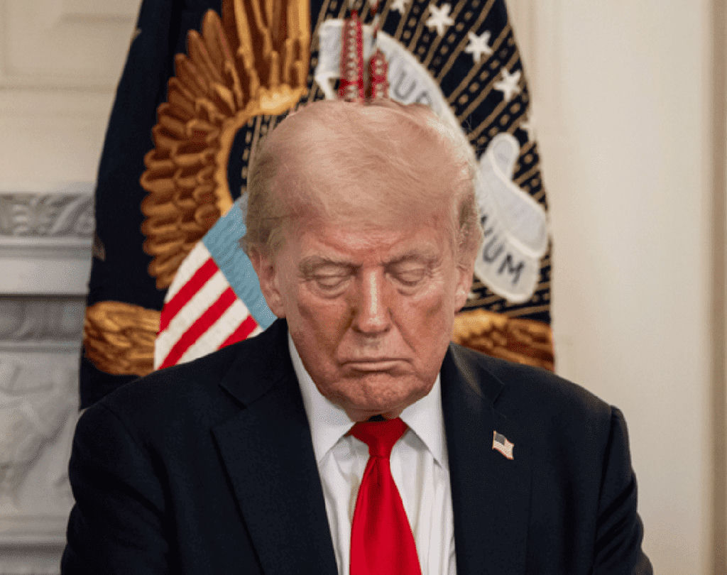 Trump reafirma atenção às Eleições brasileiras, mas evita apoiar Flávio Bolsonaro