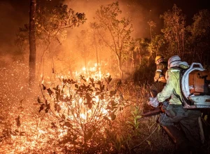 Ação humana intencional é a causa dos incêndios no Amazonas, afirma ministro