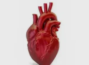 Atualização de diretriz redefine infarto e critérios diagnósticos