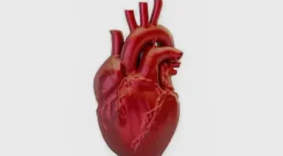 Atualização de diretriz redefine infarto e critérios diagnósticos