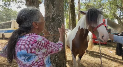 Benzedores do Rio Grande do Sul: a modernização das bênçãos para animais