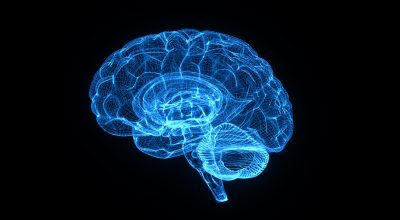 Imagem digital do cérebro humano gerado por inteligência artificial. Metrópoles