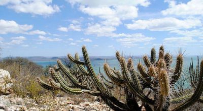 Consórcio Nordeste busca financiamento na COP17 da ONU para enfrentar desertificação