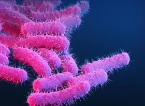 Crescimento da resistência a antibióticos em diarreia sexualmente transmissível