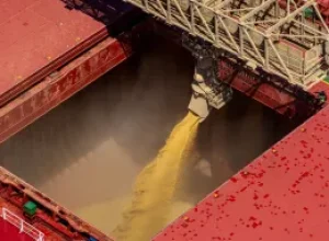 Crescimento do PIB da soja e biodiesel deve ser de 6,87% em 2026, revela estudo