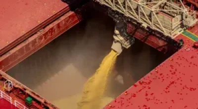 Crescimento do PIB da soja e biodiesel deve ser de 6,87% em 2026, revela estudo