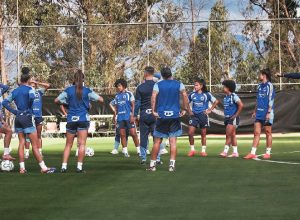 Cruzeiro encara a LDU em Quito e se torna o 15º clube brasileiro na história da Libertadores