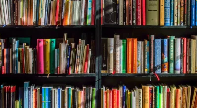 Destruição em massa de livros para alimentar Ias levanta questões éticas