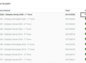 Eleitores relatam erro no site do TSE após votação; entenda a situação