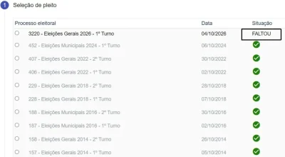 Eleitores relatam erro no site do TSE após votação; entenda a situação