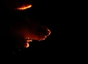 Espanha enfrenta crise ambiental e declara emergência nacional por incêndios florestais