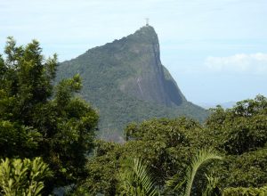 várias áreas de floresta, inclusive dentro de unidades de conservação. E a jaque
