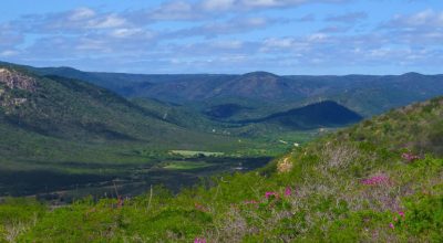 tantes biomas que o Brasil tem, que o Nordeste tem, que o Rio Grande do Norte te