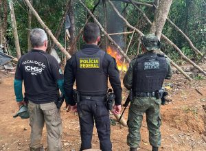 Polícia Federal intensifica ações contra garimpos ilegais no Amapá e Pará
