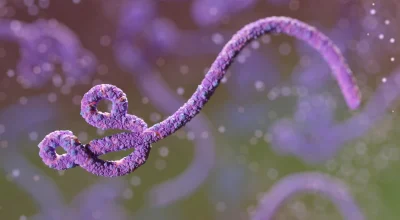 Vírus Ebola, ilustração digital. Metrópoles