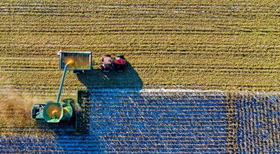 tes Carreira Global Brasil Saúde Cotações e indicadores Ibovespa Altas e Baixas