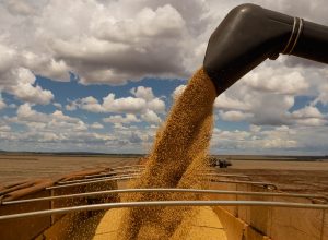 A soja em grão continuou como um dos principais exportadores do país. O produto somou US$ 6,3 bilhões (+14,6%) com o embarque de 14,8 milhões de toneladas