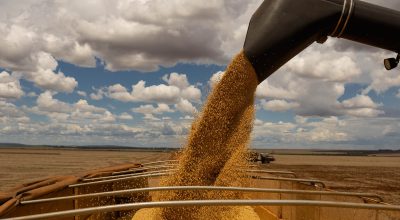 A soja em grão continuou como um dos principais exportadores do país. O produto somou US$ 6,3 bilhões (+14,6%) com o embarque de 14,8 milhões de toneladas