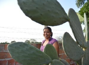 Levantamento se dedica a analisar o papel feminino em 6 cadeias produtivas do agronegócio: pecuária, cacau, citros, soja, café e cana-de-açúcar