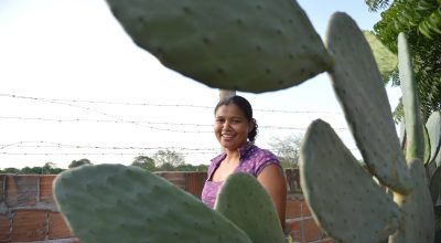 Levantamento se dedica a analisar o papel feminino em 6 cadeias produtivas do agronegócio: pecuária, cacau, citros, soja, café e cana-de-açúcar