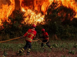 tugal, July 4, 2026. REUTERS/Pedro Rocha " data-large-file="https://www.infomone
