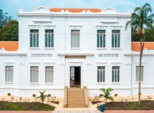 Instituto Butantan destaca-se com sete pesquisadores entre os mais influentes do mundo