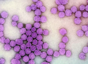 Teste rápido para hepatites B e C: resultados em até 30 minutos