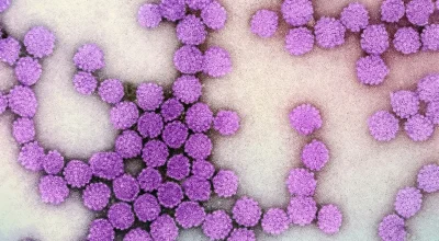 Teste rápido para hepatites B e C: resultados em até 30 minutos