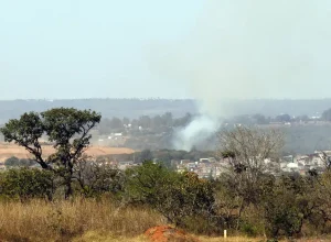 Crise climática e seus impactos nos direitos das crianças no Brasil