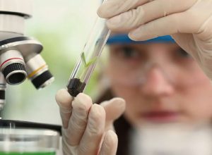 Programa Futuras Cientistas oferece imersão em tecnologia para alunas e professoras