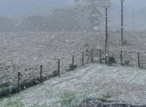 Reconhecimento de emergência em oito municípios do Rio Grande do Sul