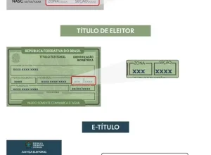 Resultados da votação em Porto Alegre: Lula lidera na 111ª zona eleitoral