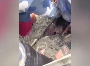 Sobrevivente de 6 anos é salva após 60 horas sob escombros de enchente que já matou 600 no Nepal